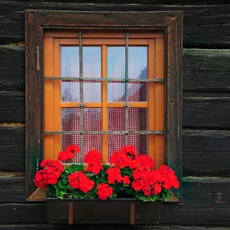 Eco Tourist Farm Mikl