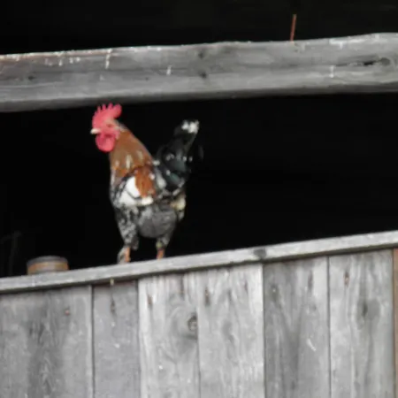 Eco Tourist Farm Mikl