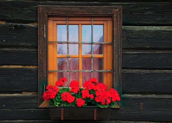 Eco Tourist Farm Mikl